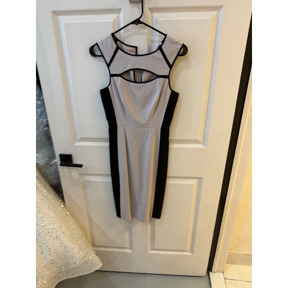 BCBGMax Azria Dress - Picture 4 of 6